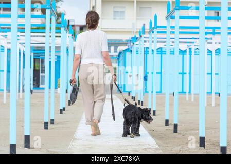 Femme marchant sur une passerelle avec son chien en laisse sur la plage de sable avec des cabanes de plage dans une journée d'été ensoleillée à Rimini, Emilie Romagne, Italie Banque D'Images