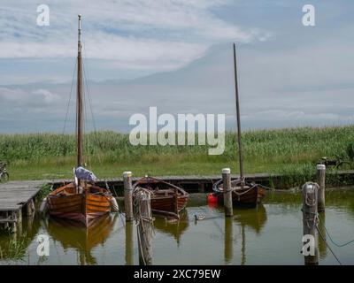 Trois bateaux en bois couchés sur une jetée dans l'eau, entourés de roseaux denses et d'un ciel nuageux, ahrenshoop, zingst, allemagne Banque D'Images