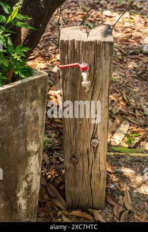 Robinet encastré dans une souche d'arbre. Décoration de jardin rustique. Banque D'Images