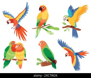 Compositions colorées serties avec des oiseaux perroquets sur des feuilles tropicales dans des couleurs vives. Style dessiné à la main Illustration de Vecteur