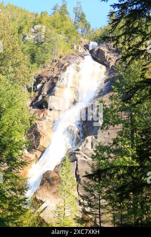 Cascade dans le parc provincial Shannon Falls, Squamish, BC, Canada Banque D'Images