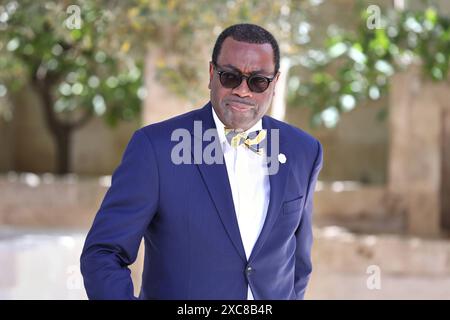 Egnazia, Italien, 14.06.2024 : Borgo Egnazia : G7-Gipfel : Akinwumi Adesina, Präsident der Afrikanischen Entwicklungsbank AfEB *** Egnazia, Italie, 14 06 2024 Borgo Egnazia Sommet du G7 Akinwumi Adesina, Président de la Banque africaine de développement Copyright : xdtsxNachrichtenagenturx dts 40067 Banque D'Images