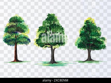 Ensemble de divers arbres d'aquarelle sur fond transparent Illustration de Vecteur