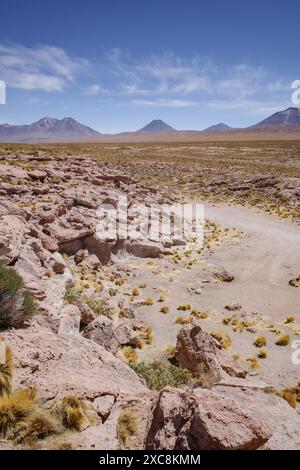 San Pedro de Atacama, Chili - 1er décembre 2023 : paysages du Salar de Piedras Rojas dans le désert d'Atacama Banque D'Images