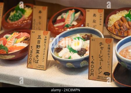 Répliques en plastique de la cuisine japonaise typique dans un restaurant du quartier Asakusa à Tokyo Banque D'Images