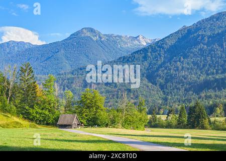 Un sentier entre prairies et arbres dans une plaine verdoyante. Montagnes alpines en arrière-plan. Après-midi d'été ensoleillé. Des gens éloignés. Vallée de Bohinj, Slovénie. Banque D'Images