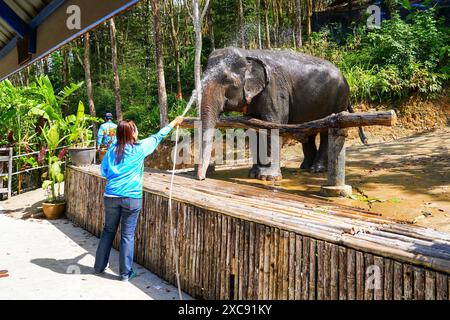 Gardien donnant une douche à un éléphant d'Asie présenté au Chalong Elephant Retirement Centre, sur la colline du Grand Bouddha de Phuket dans le sou Banque D'Images