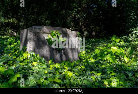 Vieux cimetière évangélique, vieilles pierres tombales et croix Banque D'Images