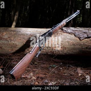 Fusil à action de levier dans une forêt qui devient sombre à l'approche du coucher du soleil. Banque D'Images