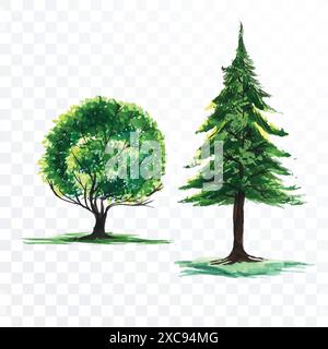 Ensemble de divers arbres d'aquarelle sur fond transparent Illustration de Vecteur