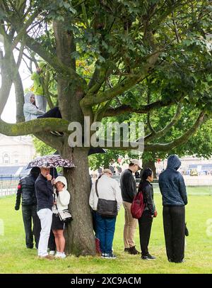 Londres Royaume-Uni 15 juin 2024 - les spectateurs tentent de s'abriter de la pluie torrentielle au Trooping the Colour à Londres aujourd'hui . : Crédit Simon Dack / Alamy Live News Banque D'Images