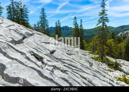 Roches érodées avec des trottoirs calcaires sur la montagne Velebit, Croatie Banque D'Images