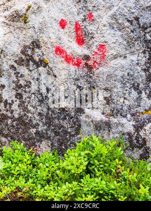 Gros plan d'une grande roche grise avec un visage souriant rouge vif peint dessus. La roche est couverte de mousse et de lichen, et le feuillage vert pousse à Banque D'Images