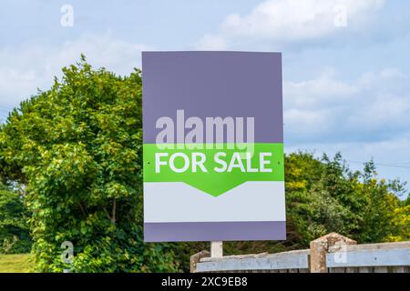 Maison d'agence immobilière pour le conseil de vente, enseigne immobilière Banque D'Images