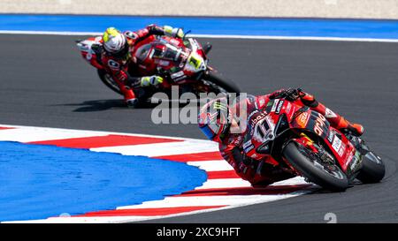 Misano, Italie. 15 juin 2024. NÂ°11 Nicolo Bulega ITA Ducati Panigale V4R ARUBA. IT Racing pendant SBK - SuperPole et course 1 Pirelli Emilia-Romagna Round, World Superbike - SBK course à Misano, Italie, 15 juin 2024 crédit : Agence photo indépendante/Alamy Live News Banque D'Images