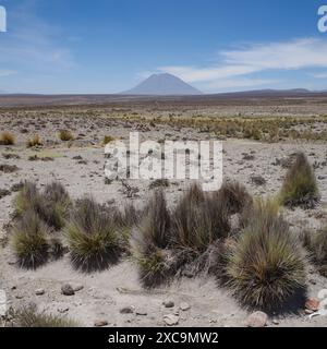 Arequipa, Pérou - 5 décembre 2023 : vue panoramique sur la Reserva Nacional de Salinas y Aguada Blanca, Arequipa Banque D'Images