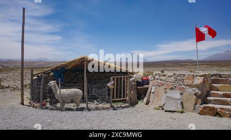 Arequipa, Pérou - 5 décembre 2023 : un drapeau péruvien flotte devant la réserve nationale de Salinas y Aguada Blanca, région d'Arequipa Banque D'Images