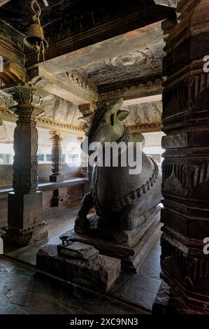 06 04 2014 Vieux Nandi vintage au temple Nritya mantapa Madhukeshwara, Banavasi. Ratha Beedi, Banavasi, Karnataka Inde Asie. Banque D'Images