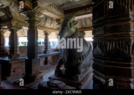 06 04 2014 Vieux Nandi vintage au temple Nritya mantapa Madhukeshwara, Banavasi. Ratha Beedi, Banavasi, Karnataka Inde Asie. Banque D'Images