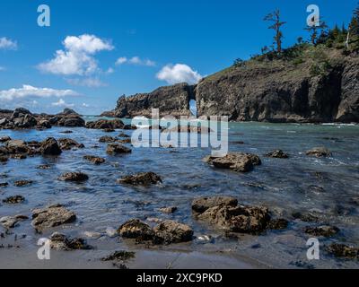 WA25358-00...WASHINGTON - pointe avec un trou dans le mur à second Beach sur la côte Pacifique à second Beach. Banque D'Images
