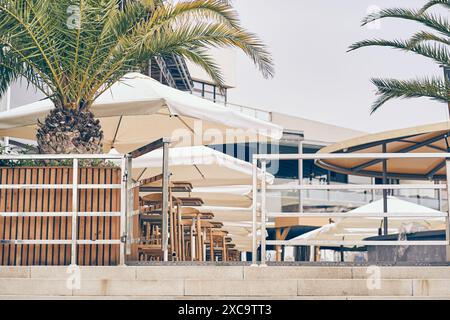 Dattes palmiers à l'entrée du café en plein air. Le restaurant est situé sur une terrasse extérieure d'été avec un parasol du soleil sous un palmier. Il y a un endroit à copier. Photo de haute qualité Banque D'Images