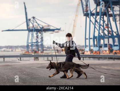 K-9 agents le U.S. Customs and Border Protection Office des opérations de terrain mener un exercice d'entraînement au Port de Baltimore à Baltimore, Md., Feb 8, 2017. U.S. Customs and Border Protection Photo par Glenn Fawcett Banque D'Images