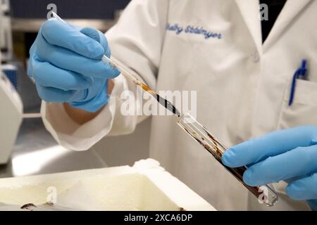 Des scientifiques des laboratoires CBP et des Services scientifiques effectuent des tests de dépistage de médicaments au Laboratoire d'exploitation du port de Memphis, à 22 juillet 2021. Photo CBP par Jerry Glaser Banque D'Images