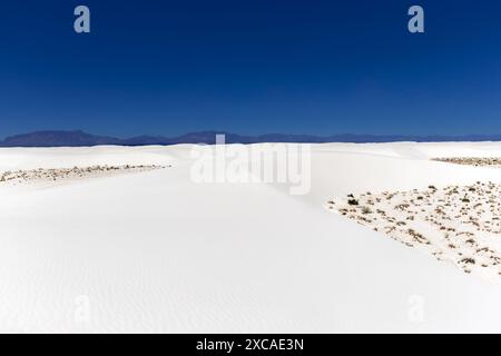 Dunes de sable dans l'Alkali Flat, White Sands National Park, Nouveau-Mexique, États-Unis Banque D'Images