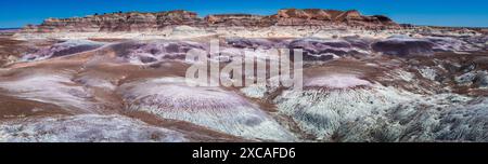 Vue panoramique sur les badlands du parc national de la forêt pétrifiée Banque D'Images