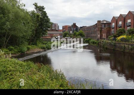 Kelham Weir sur la rivière Don à Sheffield Angleterre, zone industrielle de la ville intérieure, beauté urbaine biodiversité Banque D'Images