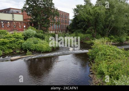 Kelham Weir sur la rivière Don à Sheffield Angleterre, zone industrielle de la ville intérieure, beauté urbaine biodiversité Banque D'Images