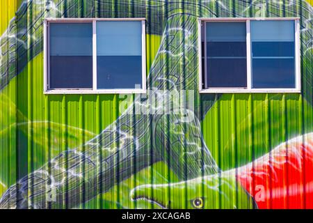 Peinture murale de saumon sur le côté d'un bâtiment industriel à Steveston Colombie-Britannique Canada Banque D'Images