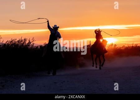 Mains de ranch féminines, ou cow-girls, monter des chevaux au coucher du soleil sur un ranch en Arizona, États-Unis. Les lariats oscillants. Banque D'Images