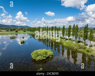 Vue aérienne du Mooser Damm avec le Pappelallee sur la partie ouest du lac de Constance reliant la ville et les environs de Radolfzell Banque D'Images