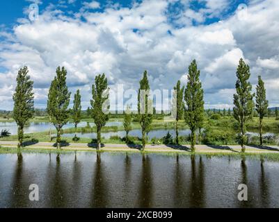 Vue aérienne du Mooser Damm avec l'avenue du peuplier sur la partie ouest du lac de Constance. Le barrage relie la ville et les environs de Banque D'Images