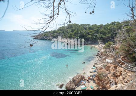 Eaux turquoise de Cala Saladeta à Ibiza en été. Banque D'Images