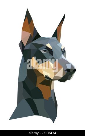 Doberman sur fond blanc dans Illustrator Banque D'Images