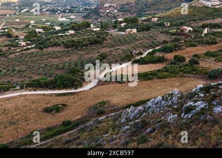 Vue aérienne des oliveraies en saison estivale à Scopello, Sicile. Italie Banque D'Images