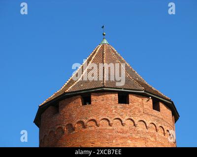 Château médiéval de Turaida dans le pays de Lettonie Banque D'Images