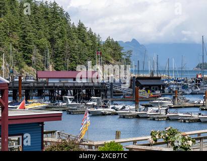 Vancouver CAN, Kanada / Canada, Urlaubseindruecke und Sehenswuerdigkeiten, 15.06.2024. Hafen Horseshoe Bay. CAN, Kanada / Canada, Urlaubseindruecke und Sehenswuerdigkeiten, 14.06.2024. *** Vancouver CAN, Canada Canada, impressions de vacances et lieux d'intérêt, 15 06 2024 Port of Horseshoe Bay CAN, Canada Canada, impressions de vacances et lieux d'intérêt, 14 06 2024 Copyright : xEibner-Pressefoto/HeikexFeinerx EP HFR Banque D'Images