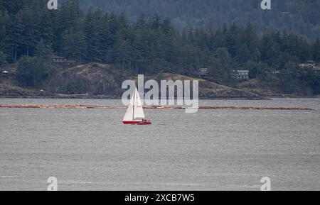 Vancouver CAN, Kanada / Canada, Urlaubseindruecke und Sehenswuerdigkeiten, 15.06.2024. Segelboot vor dem Hafen der Horseshoe Bay. CAN, Kanada / Canada, Urlaubseindruecke und Sehenswuerdigkeiten, 14.06.2024. *** Vancouver CAN, Canada Canada, impressions de vacances et lieux d'intérêt, 15 06 2024 voilier devant Horseshoe Bay CAN, Canada Canada, impressions de vacances et lieux d'intérêt, 14 06 2024 Copyright : xEibner-Pressefoto/HeikexFeinerx EP HFR Banque D'Images