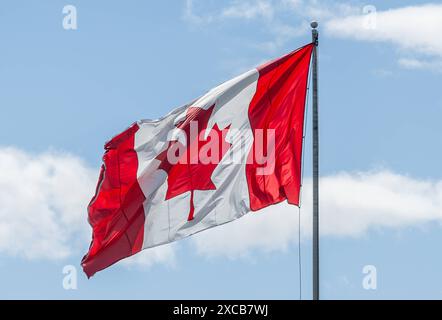 Vancouver CAN, Kanada / Canada, Urlaubseindruecke und Sehenswuerdigkeiten, 15.06.2024. Kanadische Fahne / Flagge an Flaggenmat. CAN, Kanada / Canada, Urlaubseindruecke und Sehenswuerdigkeiten, 14.06.2024. *** Vancouver CAN, Canada Canada, impressions de vacances et lieux d'intérêt, 15 06 2024 drapeau canadien drapeau sur mât CAN, Canada Canada, impressions de vacances et lieux d'intérêt, 14 06 2024 Copyright : xEibner-Pressefoto/HeikexFeinerx EP HFR Banque D'Images