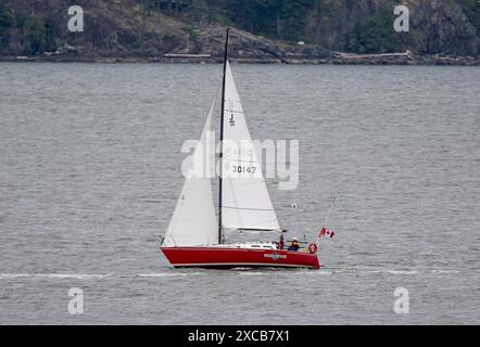 Vancouver CAN, Kanada / Canada, Urlaubseindruecke und Sehenswuerdigkeiten, 15.06.2024. Segelboot vor dem Hafen der Horseshoe Bay. CAN, Kanada / Canada, Urlaubseindruecke und Sehenswuerdigkeiten, 14.06.2024. *** Vancouver CAN, Canada Canada, impressions de vacances et lieux d'intérêt, 15 06 2024 voilier devant Horseshoe Bay CAN, Canada Canada, impressions de vacances et lieux d'intérêt, 14 06 2024 Copyright : xEibner-Pressefoto/HeikexFeinerx EP HFR Banque D'Images