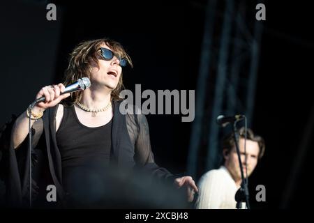 The Struts in Concerto al Firenze Rocks 2024. Foto di Davide Merli Banque D'Images