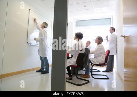 Chercheurs, Réunion, Fondation Tecnalia, Centre technologique et de recherche, Parc technologique de Saint-Sébastien, Donostia, Gipuzkoa, pays Basque, Espagne Banque D'Images