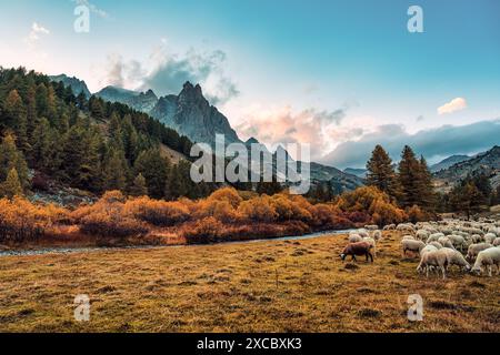 Paysage des Alpes françaises de la vallée de Claree avec massif des Cerces et troupeau de moutons paissant sur pâturage en automne dans les Hautes Alpes, France Banque D'Images