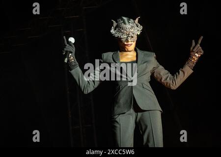 Kvaerndrup, Danemark. 15 juin 2024. Grace Jones lukker Greenfield paa Heartland loerdag den 15 juni. 2024. (Foto : Helle Arensbak/Ritzau Scanpix) crédit : Ritzau/Alamy Live News Banque D'Images