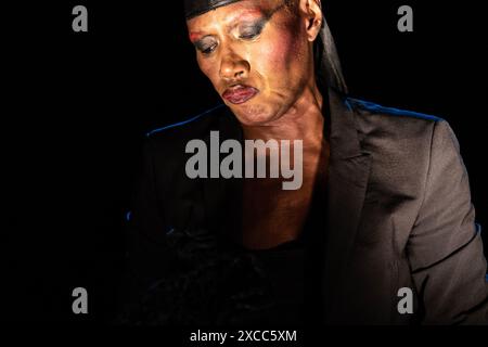 Kvaerndrup, Danemark. 15 juin 2024. Grace Jones lukker Greenfield paa Heartland loerdag den 15 juni. 2024. (Foto : Helle Arensbak/Ritzau Scanpix) crédit : Ritzau/Alamy Live News Banque D'Images