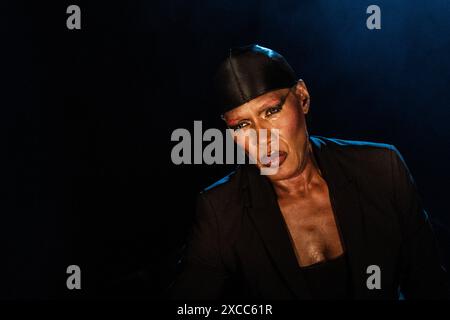 Kvaerndrup, Danemark. 15 juin 2024. Grace Jones lukker Greenfield paa Heartland loerdag den 15 juni. 2024. (Foto : Helle Arensbak/Ritzau Scanpix) crédit : Ritzau/Alamy Live News Banque D'Images