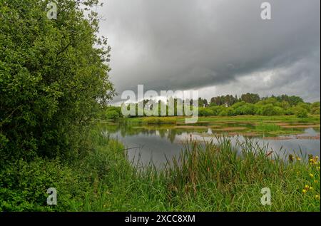 Morton Lochs dans Fife sous un ciel sombre avec la pluie commençant à partir des nuages menaçants sombres au-dessus, au cours d'un après-midi de juin humide. Banque D'Images